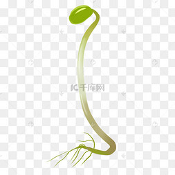 豆牙app下载_(豆芽app在线下载)