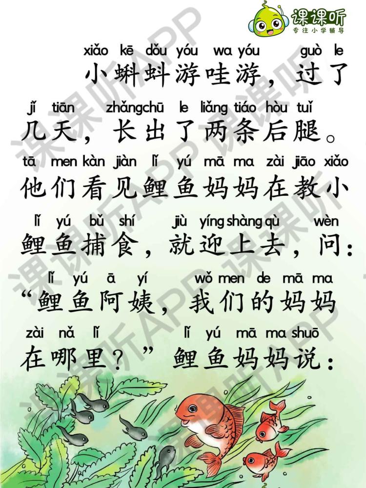 蝌蚪视频下载app_(蝌蚪视频下载大全蝌蚪吧)